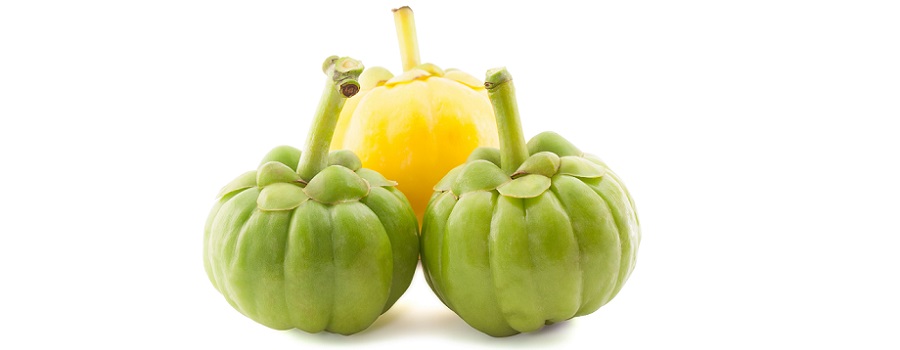 Innovative ingredients in support of weight management