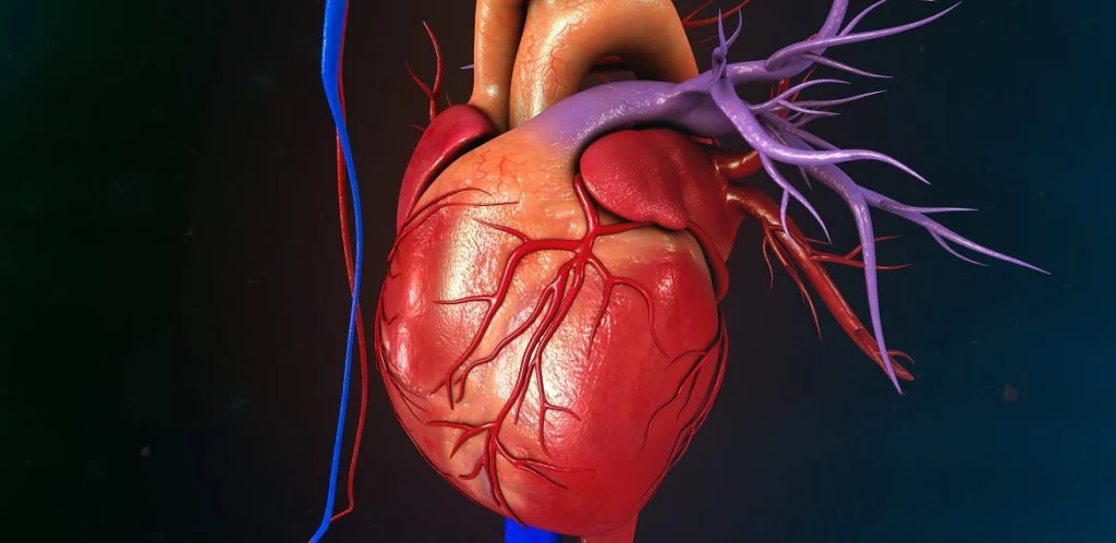 Keys to a Healthy Heart