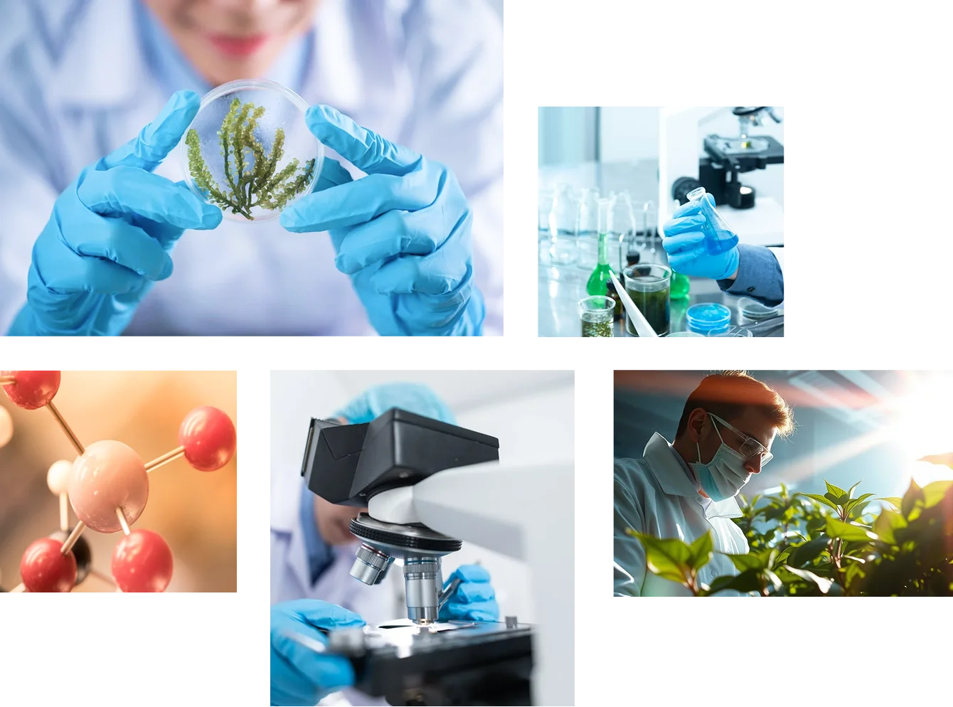 Research and Development