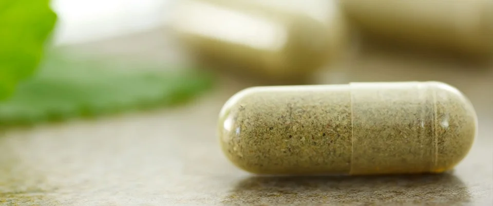 Sabinsa to hold free web seminar on weight management ingredient innovation