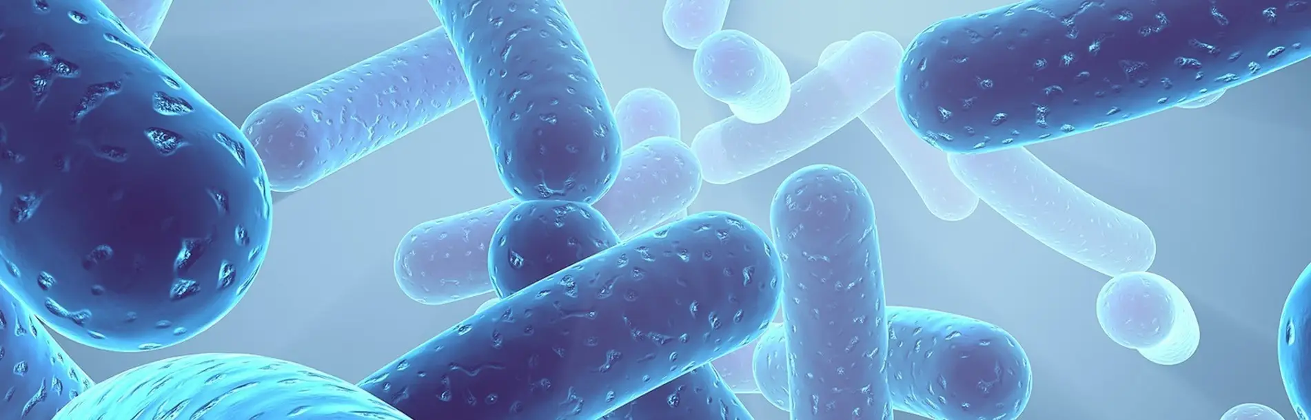 Sabinsa to host free LactoSpore® web seminar