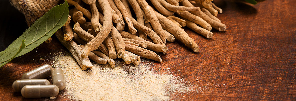 Ancient Herb Shows Promise For Stress Relief – Todays Practitioner Magazine